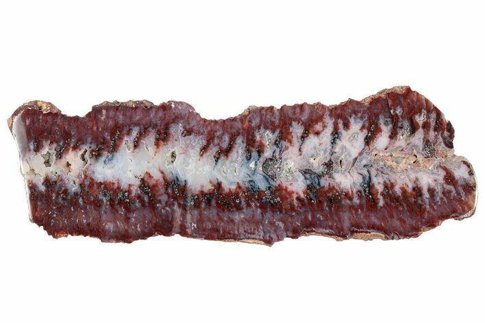 Polished Sicat Plume Agate Slab - Cady Mountains, California #302894